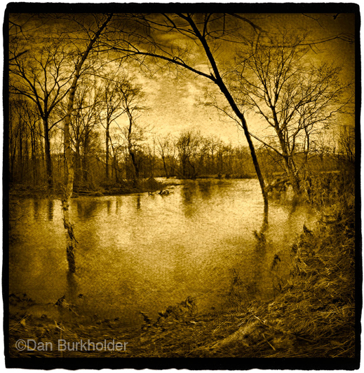 Fine Platinum/Palladium over Gold Leaf photographic print, at Sun to Moon Gallery